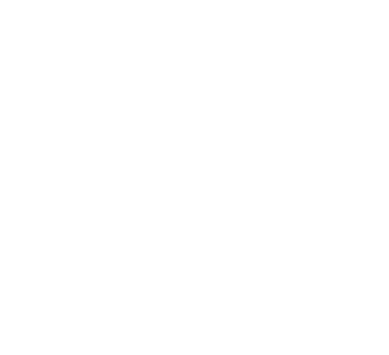 הלוגו של Evermore Zeppelin